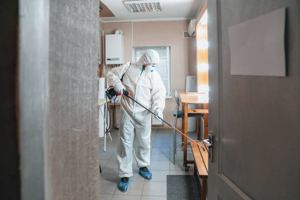 Best Black Mold Removal  in Los Angeles, CA