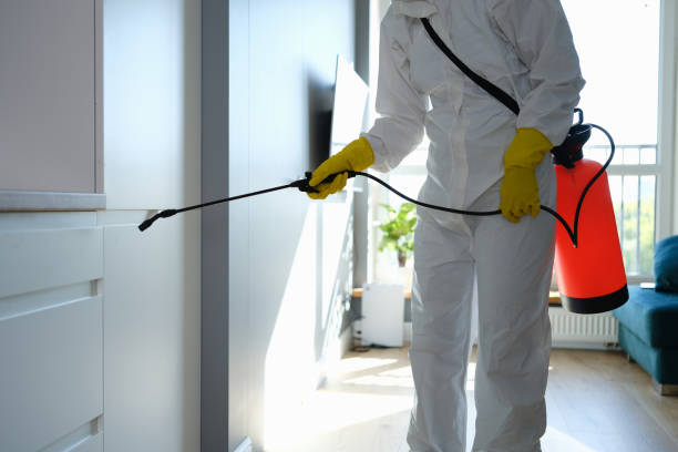 Best Emergency Mold Remediation  in Los Angeles, CA