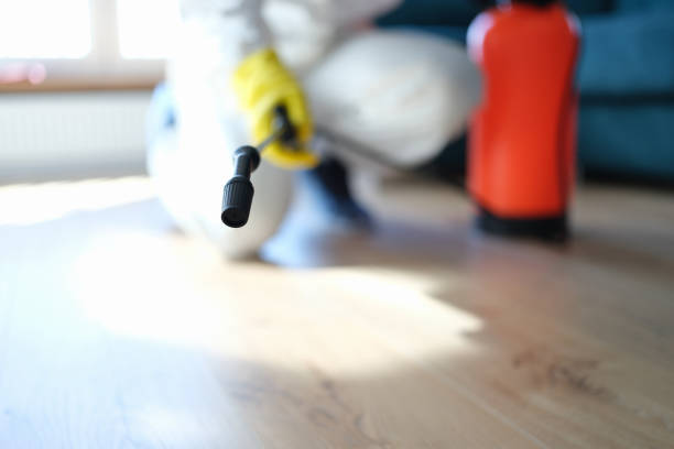 Best Crawl Space Mold Remediation  in Los Angeles, CA