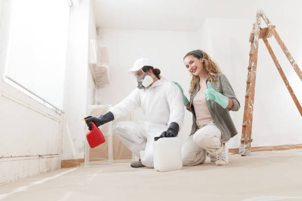 Best HVAC Mold Inspection and Cleaning  in Los Angeles, CA